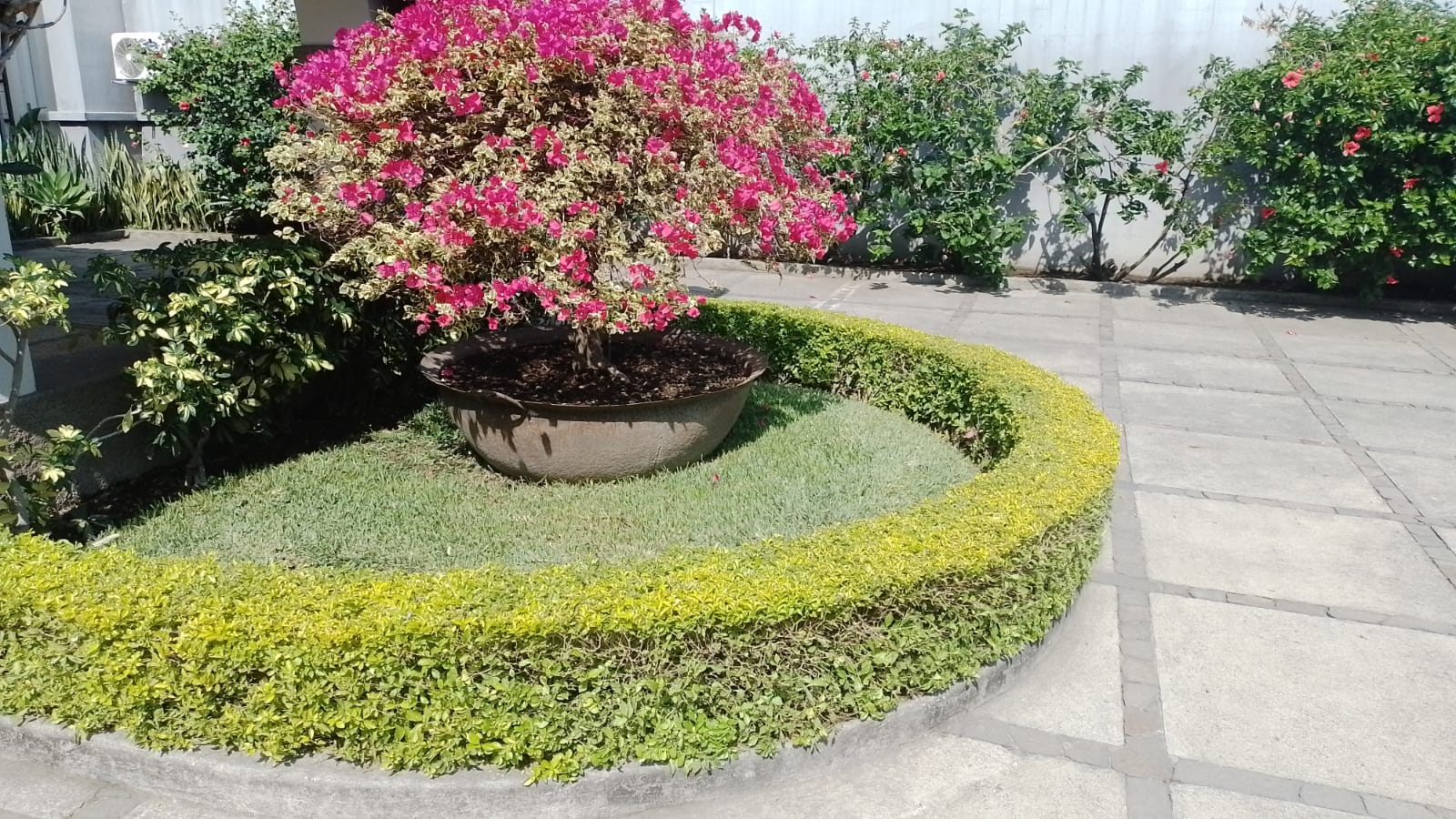 Jardinería-Profesional
